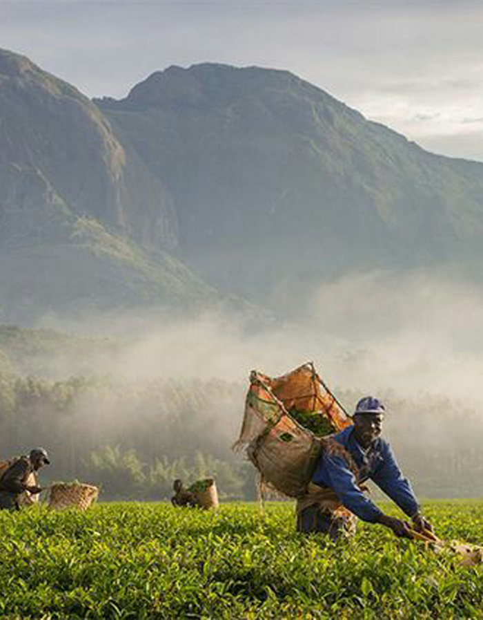 MULANJE LIFESTYLE